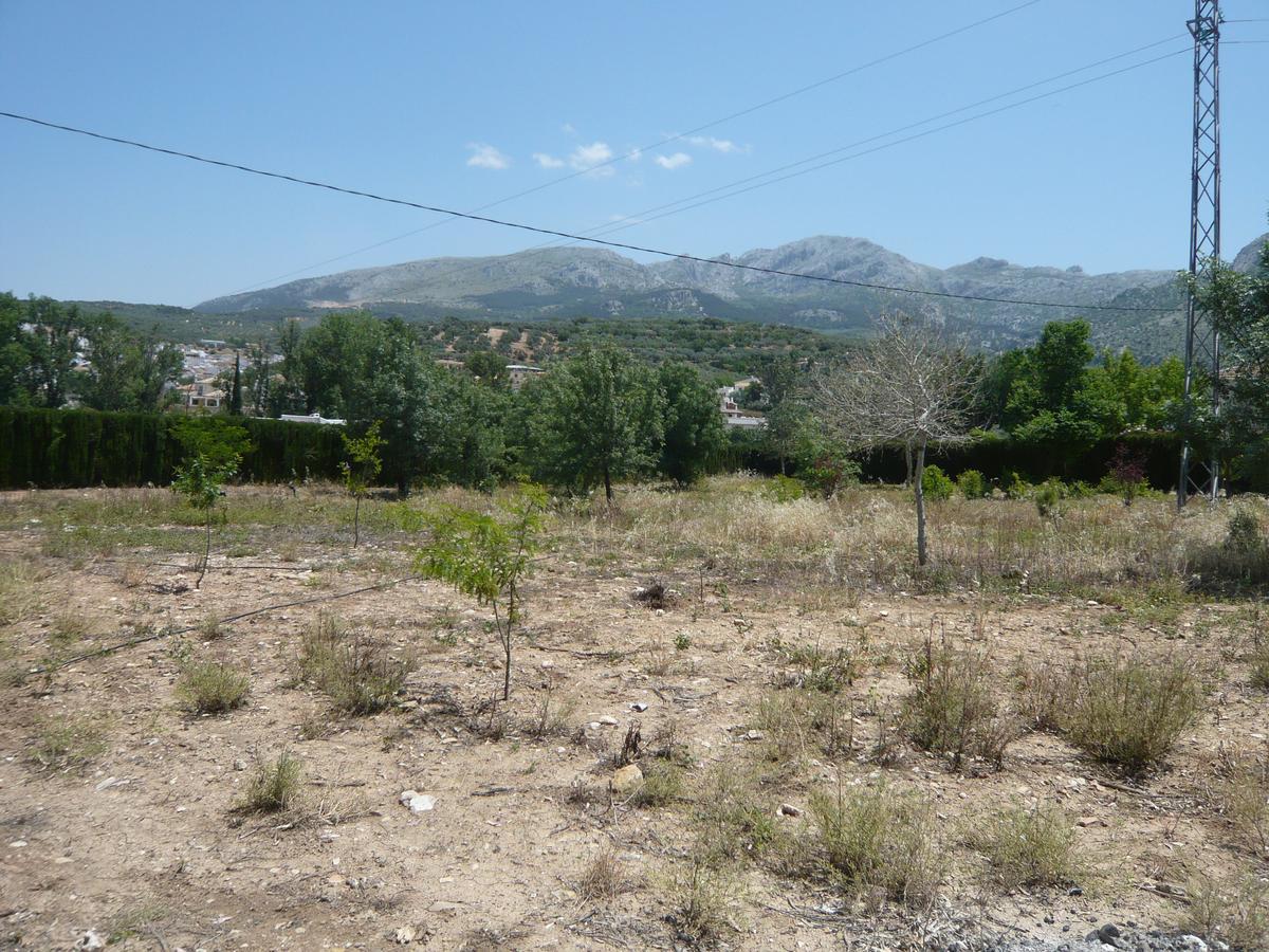 Venta Las Delicias Villanueva del Rosario Exteriör bild